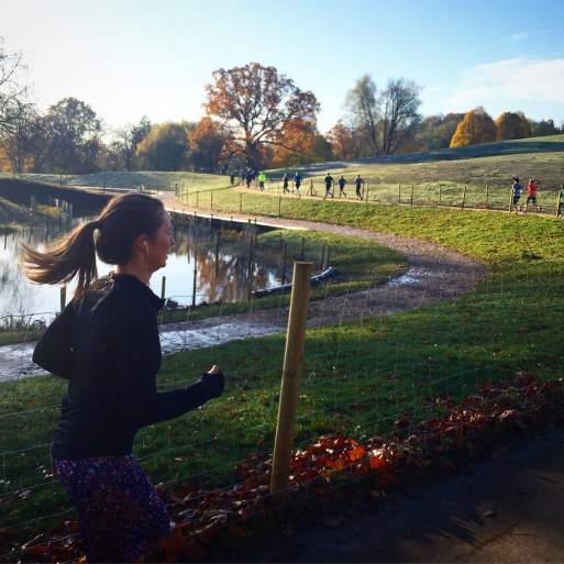 unning, iceland, exercise, trail running, i love running, girls who run, exercise, workout, fitness, running blog, running tips, average runner, below average runner, sorry i've got to run, sophie o'gorman, fitfam,