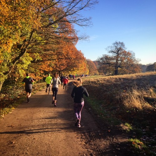 unning, iceland, exercise, trail running, i love running, girls who run, exercise, workout, fitness, running blog, running tips, average runner, below average runner, sorry i've got to run, sophie o'gorman, fitfam,